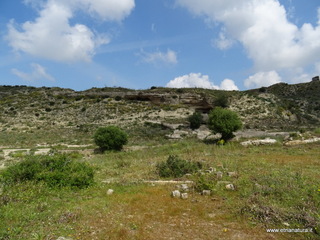 lazzelli-19-04-2018 10-51-24